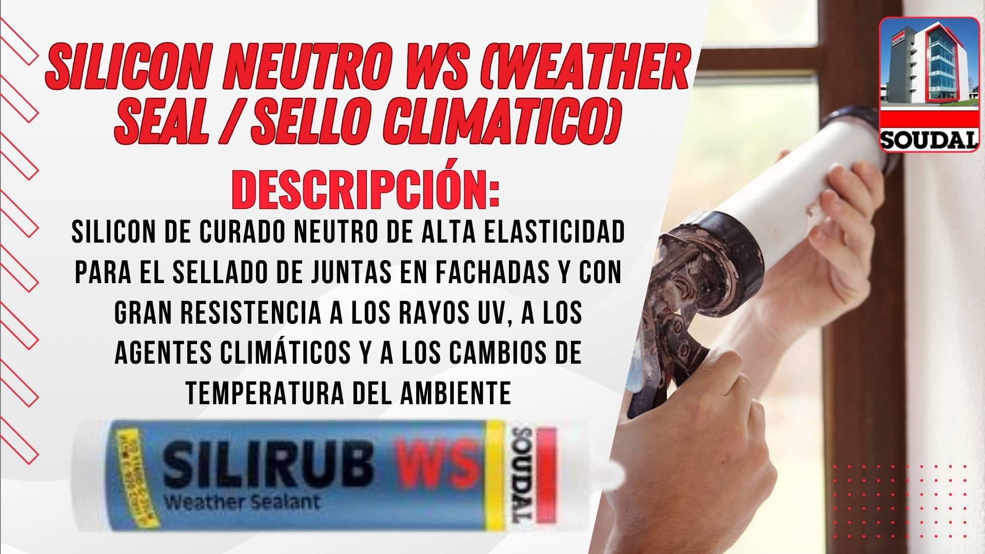 Silicon Neutro WS